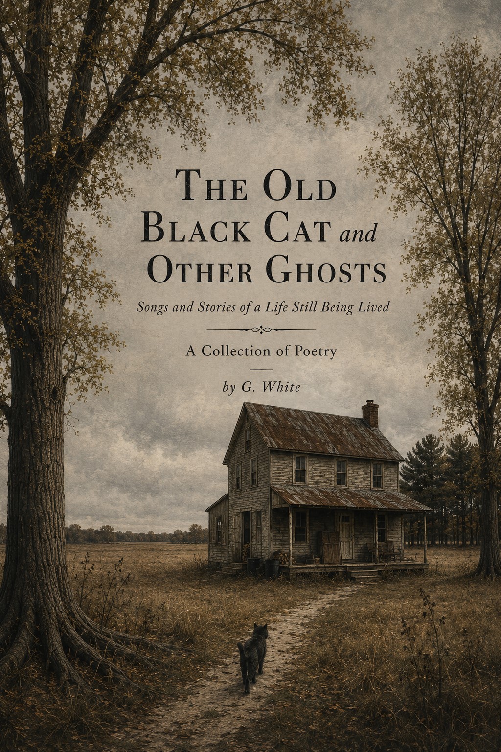 The Old Black Cat and Other Ghosts
